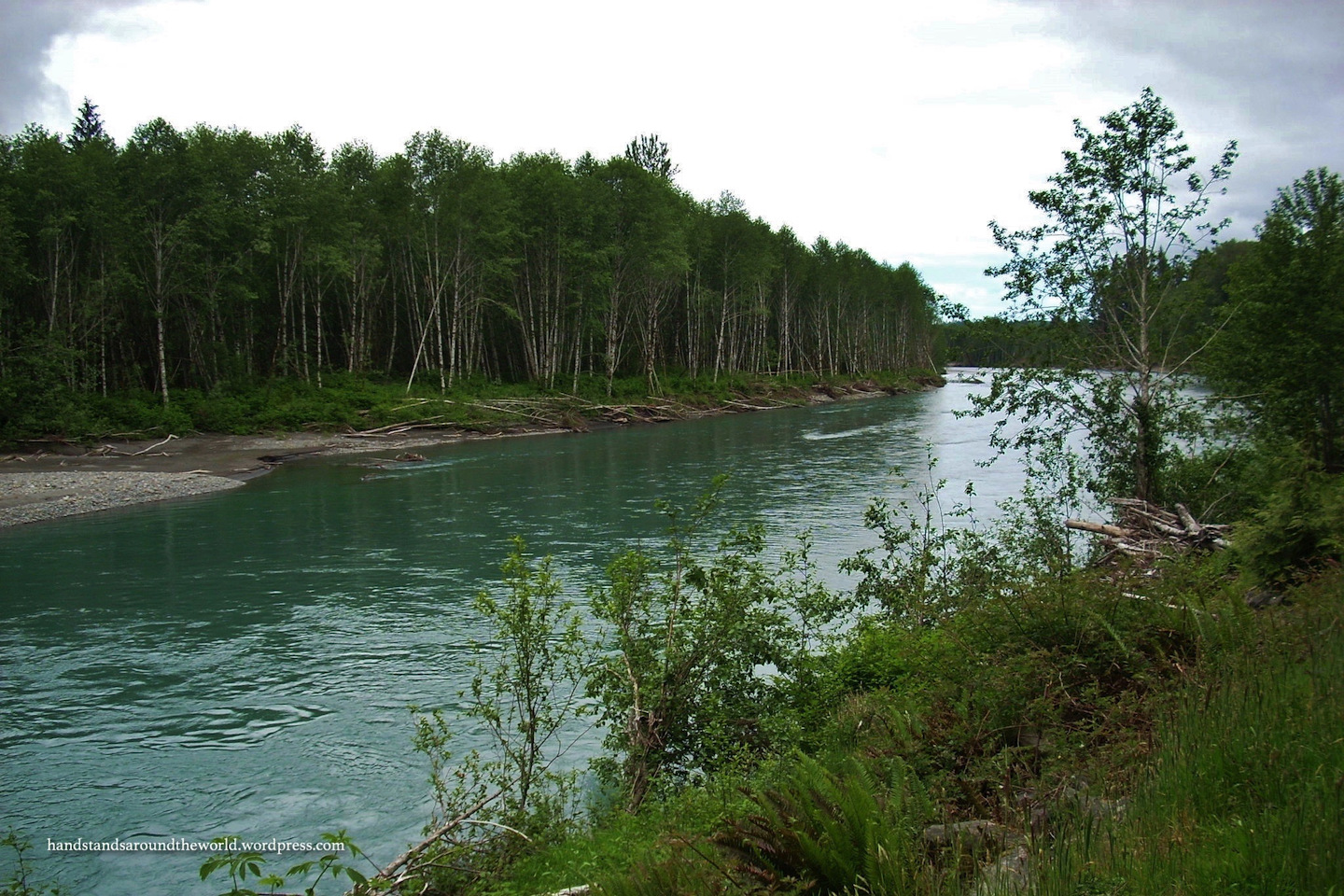 Onward, Hoh! – Olympic National Park, Washington (part III)