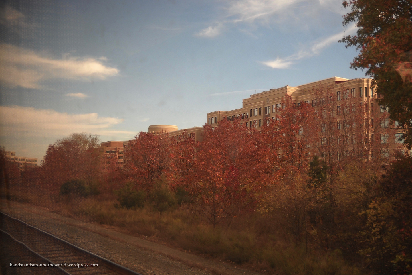 Thanksgiving in North Carolina