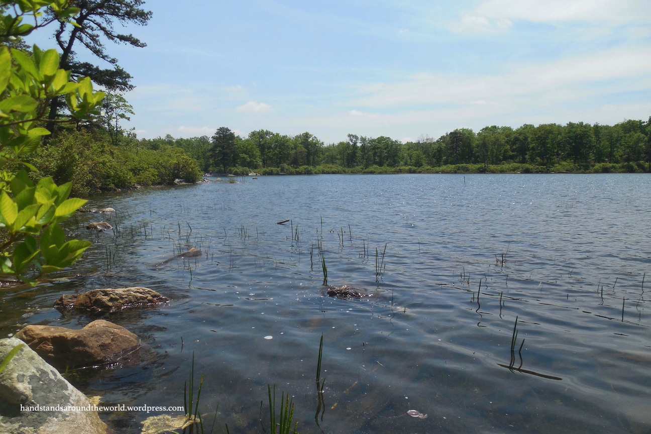 It’s Raining Caterpillars – Delaware Water Gap National Rec Area (part II)