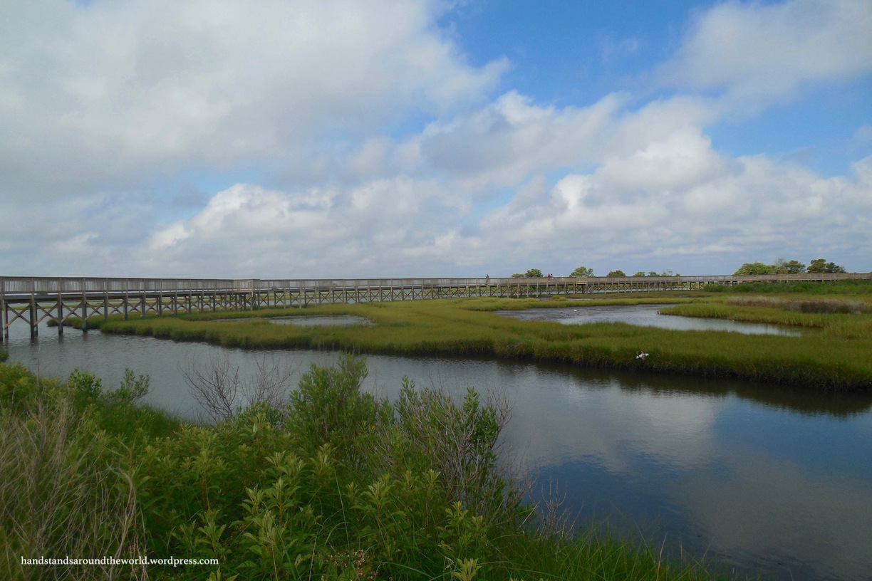 Sand Dunes and Wild Horses – Assateague Island National Seashore, Maryland