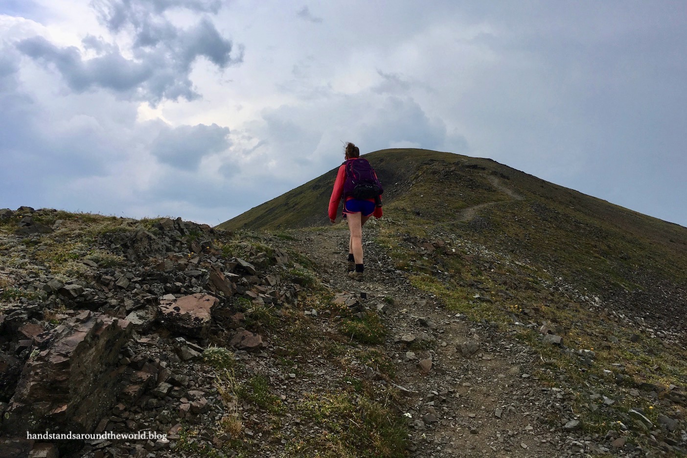 Wildflowers and a Montana Summit – Hyalite Peak