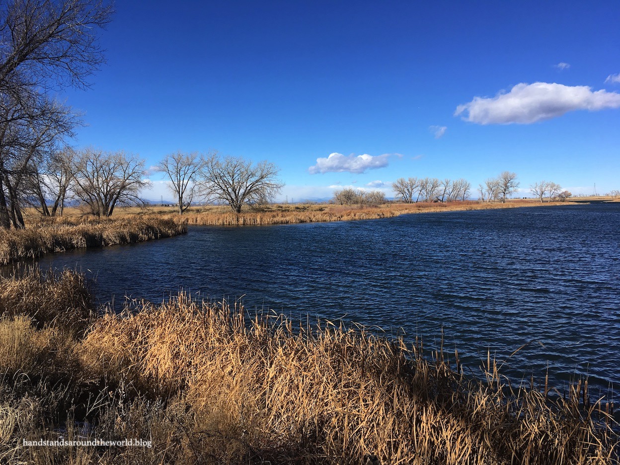 Colorado Destinations: Rocky Mountain Arsenal National Wildlife Refuge