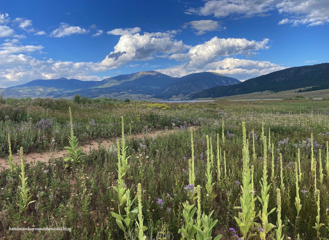 Driving New Mexico’s Enchanted Circle Scenic Byway