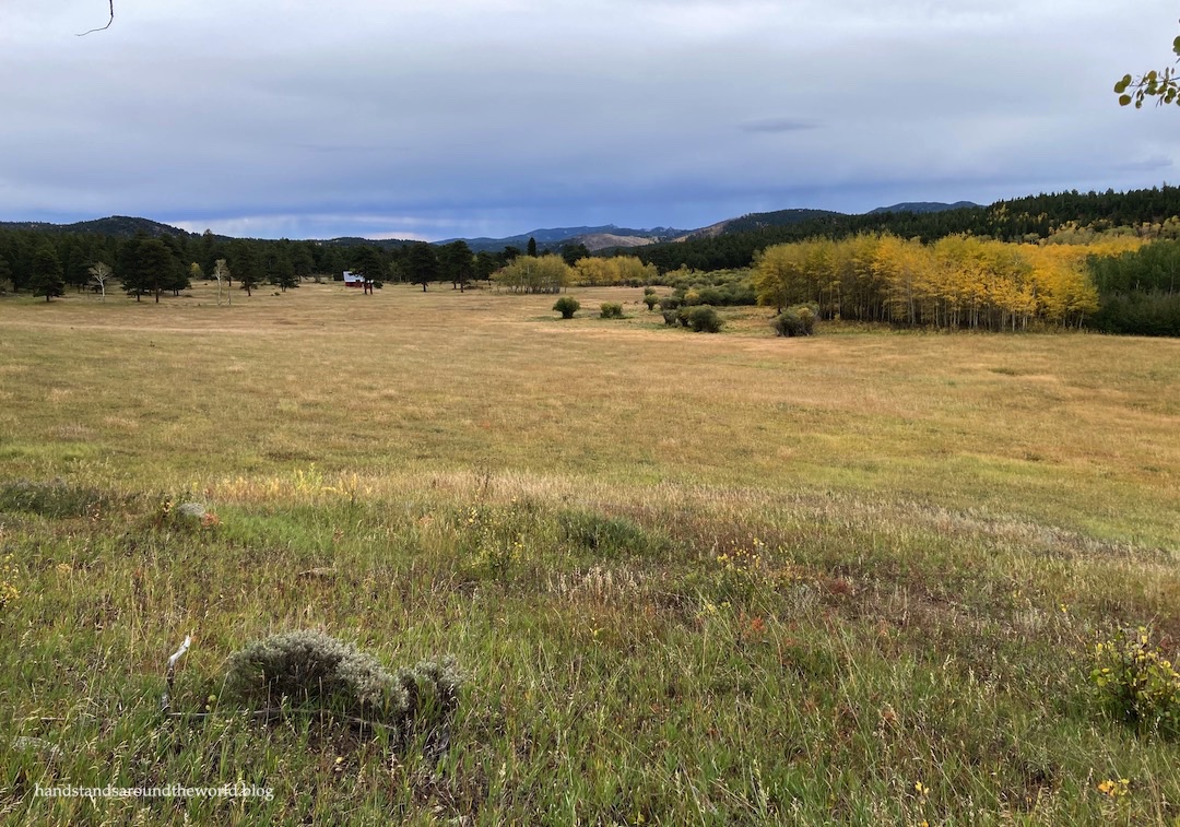 Colorado Fall Colors: Backcountry Taproom and Caribou Ranch Open Space