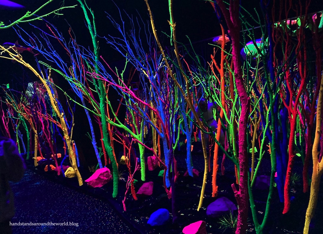 24 hours in Santa Fe, New Mexico