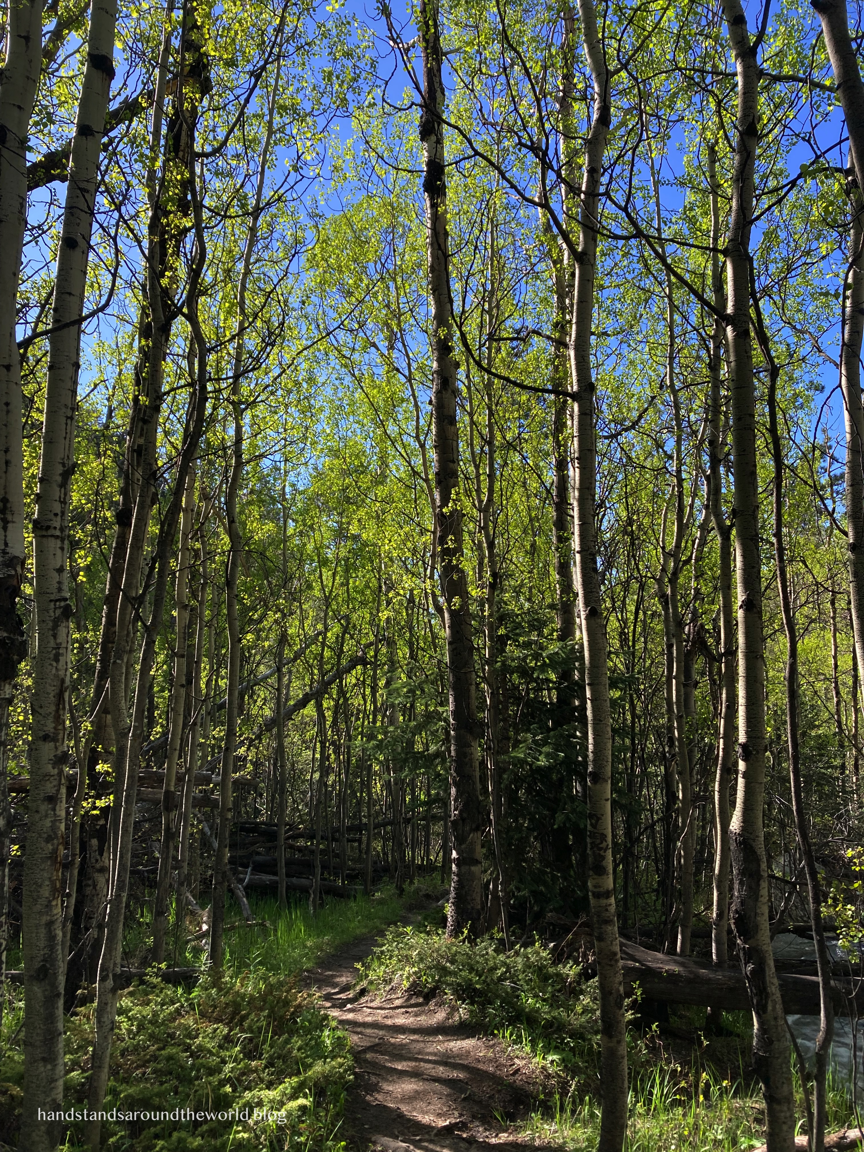 Rocky Mountain National Park Hikes: Bridal Veil Falls