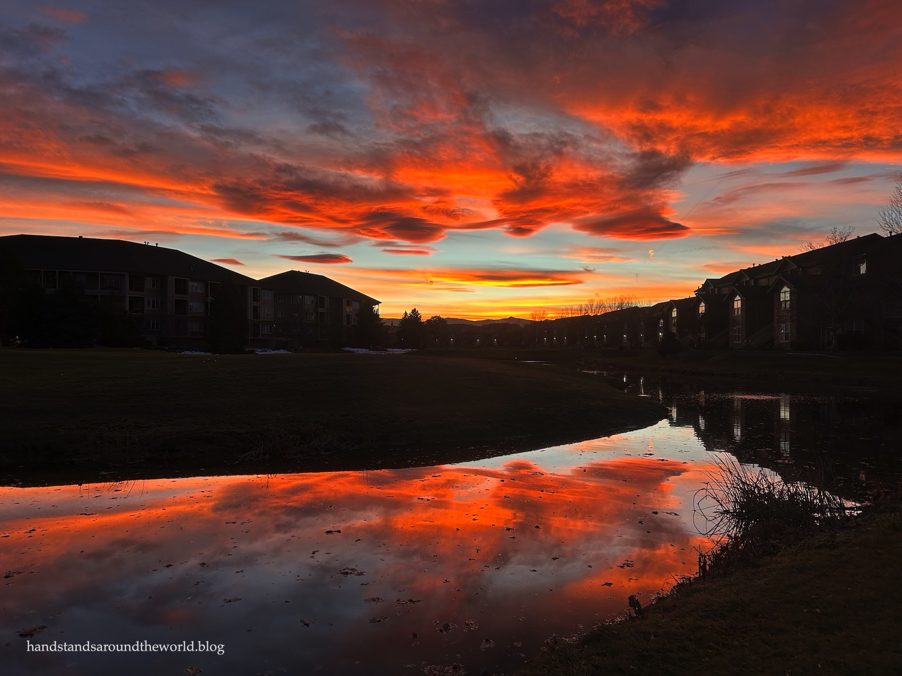 A year in review: 2024