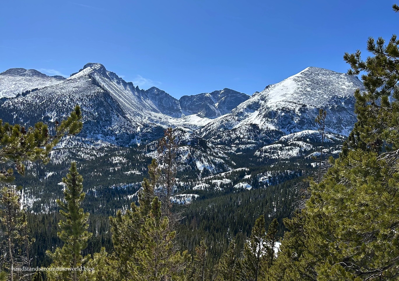 A year in review: 2025