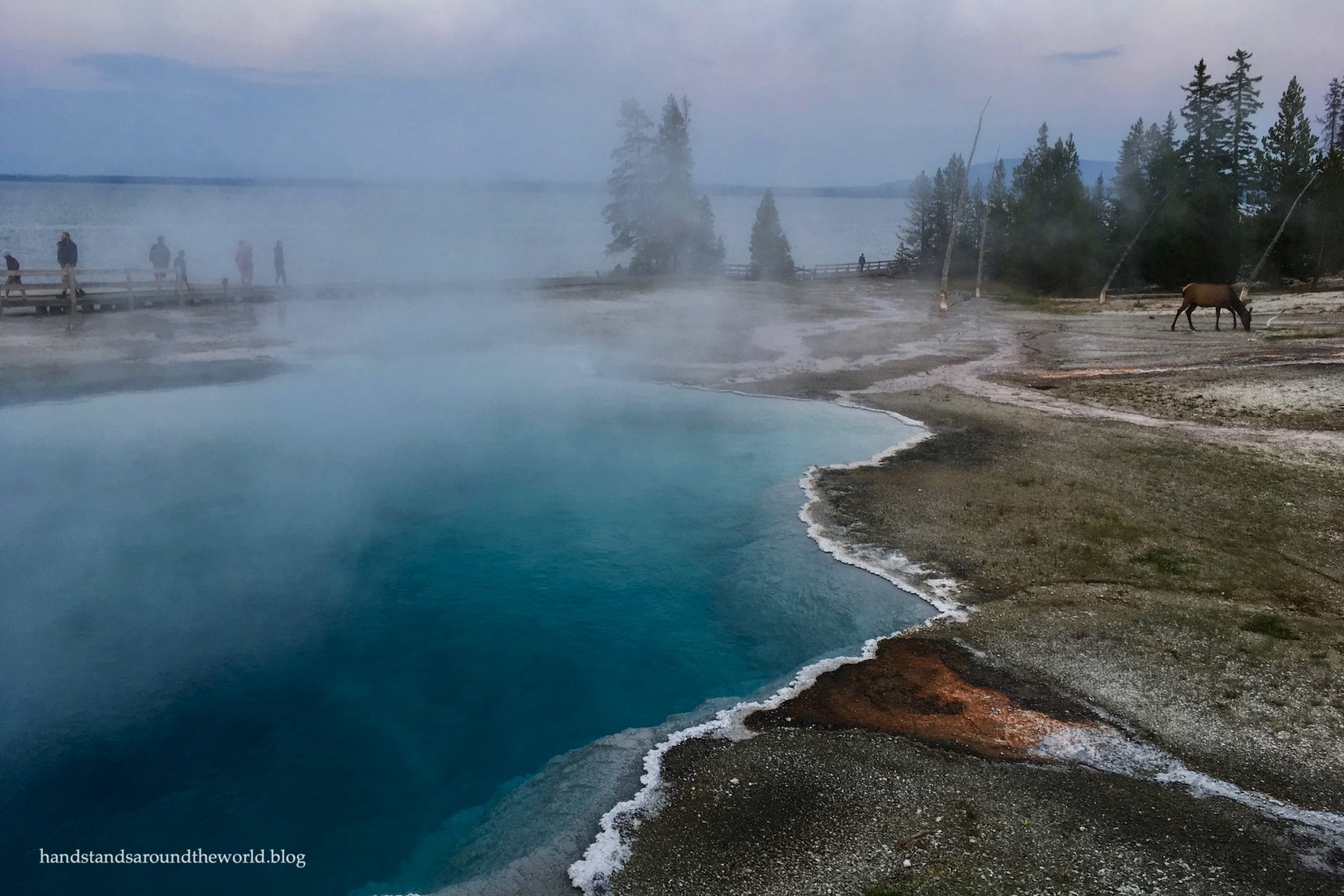 Yellowstone National Park, part IV: Old Faithful to Canyon Village